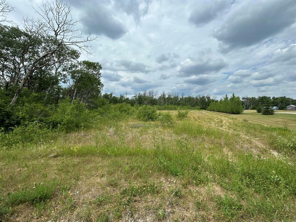Property Photo:  29 Colbert Place  MB R0E 0M0 