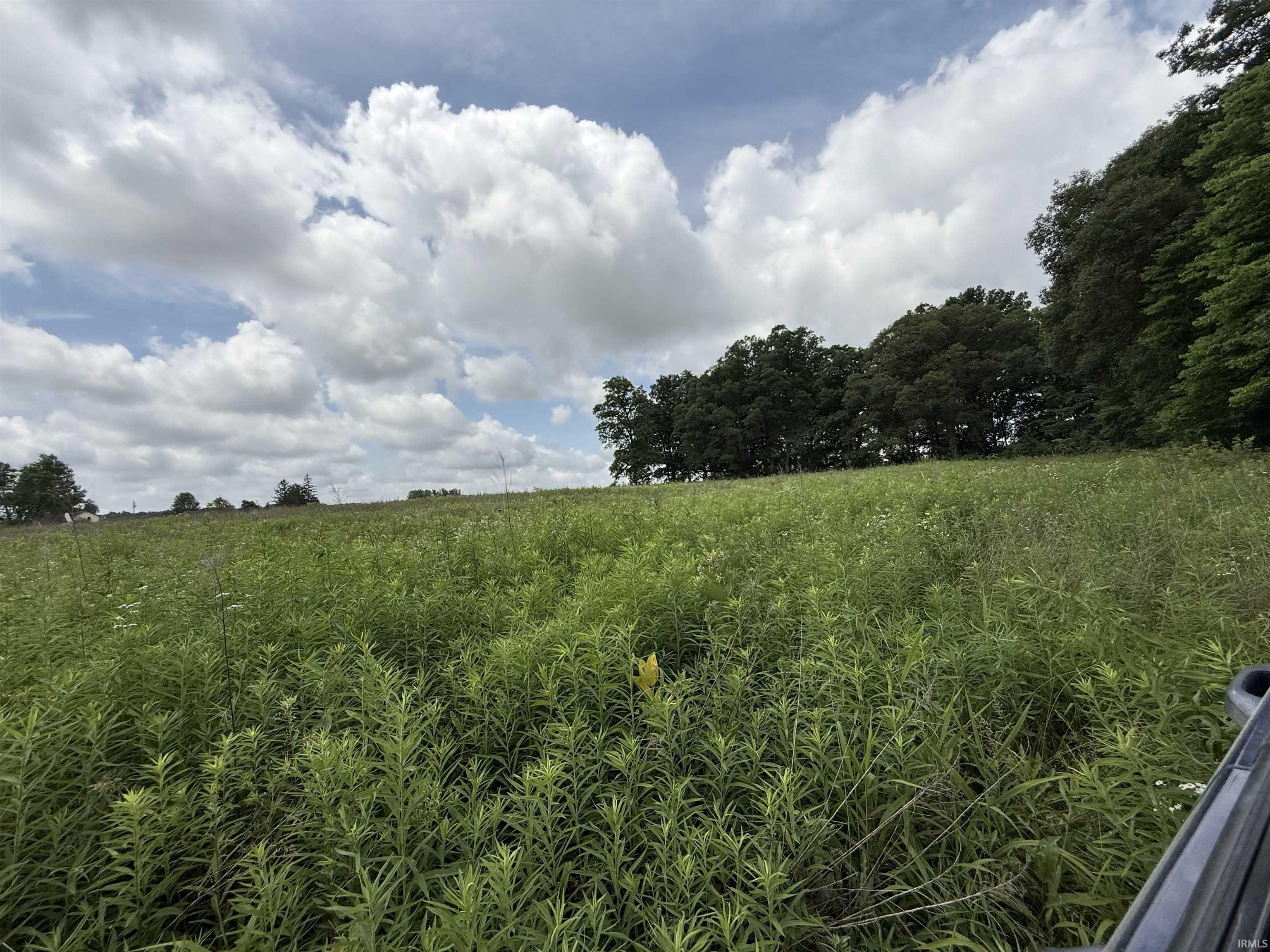 Property Photo: 5647 County Road 36A IN 46721