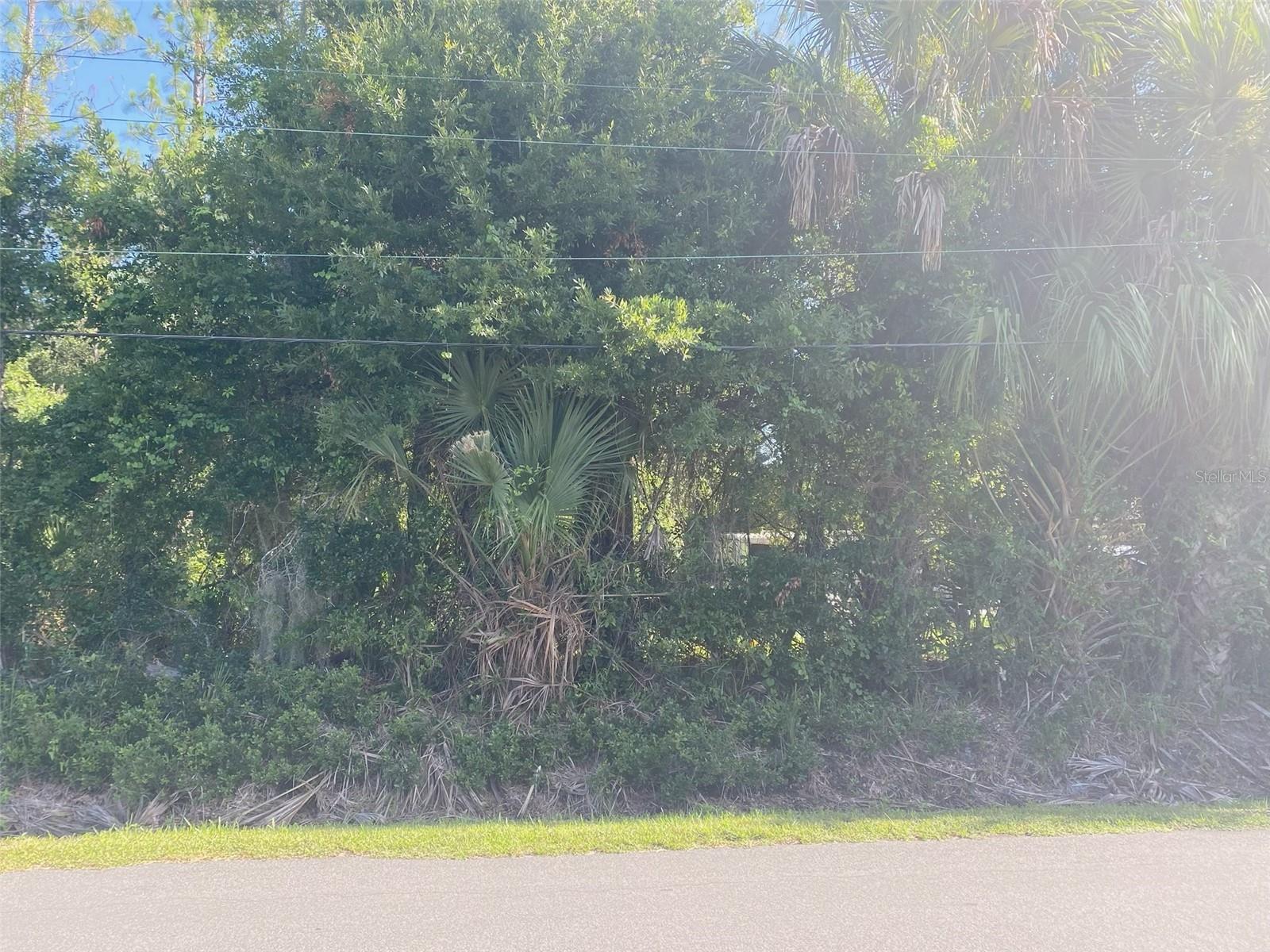 Property Photo: 804 Fourth Street Street FL 32110