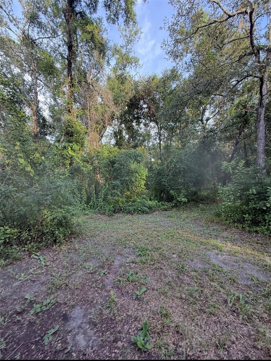 Property Photo: 12300 Walter Street FL 34669