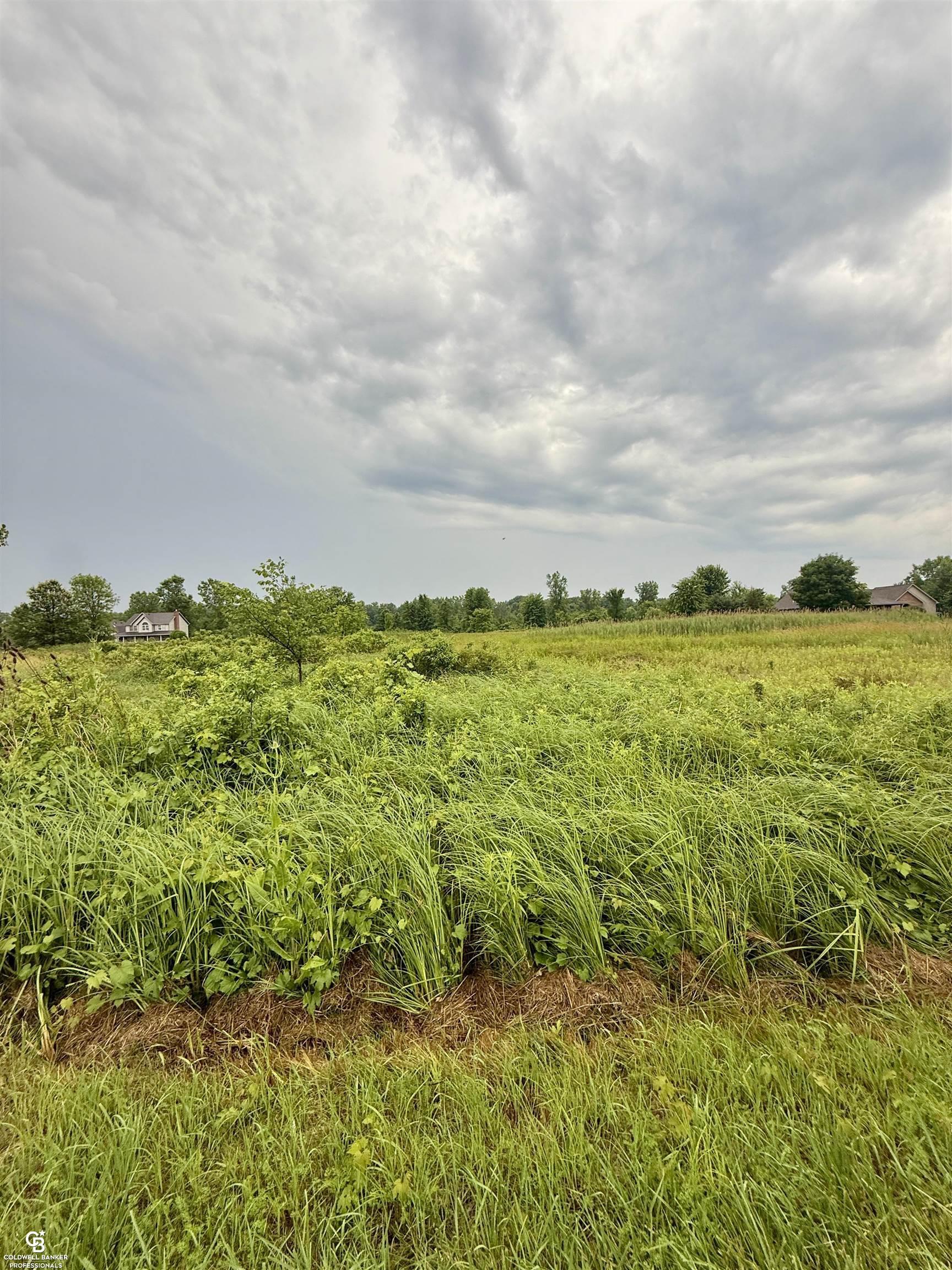 Property Photo: Yale Road MI 48097