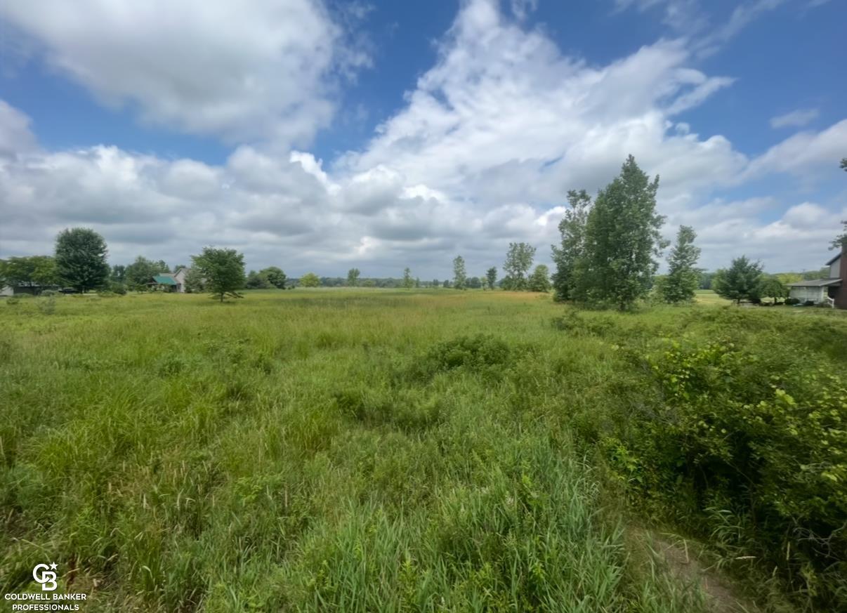 Property Photo:  Yale Road  MI 48097 