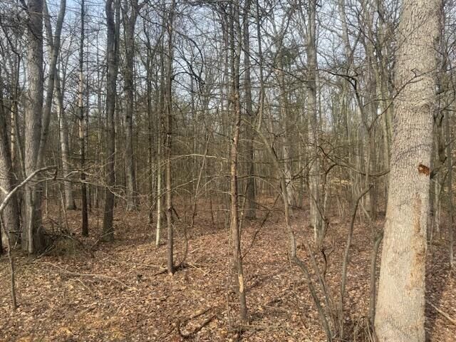 Property Photo:  0 E Meinert Road  MI 49425 