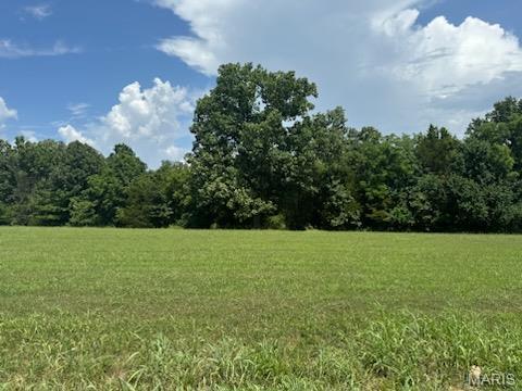 Property Photo: Lot 35 Morgan Lake Road MO 63020