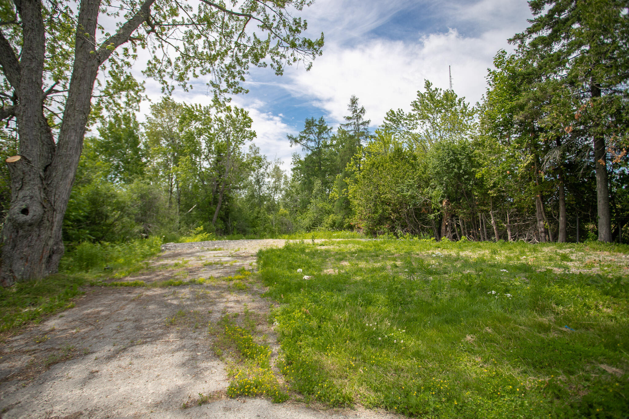 Property Photo:  499 Wilson Street  ME 04412 