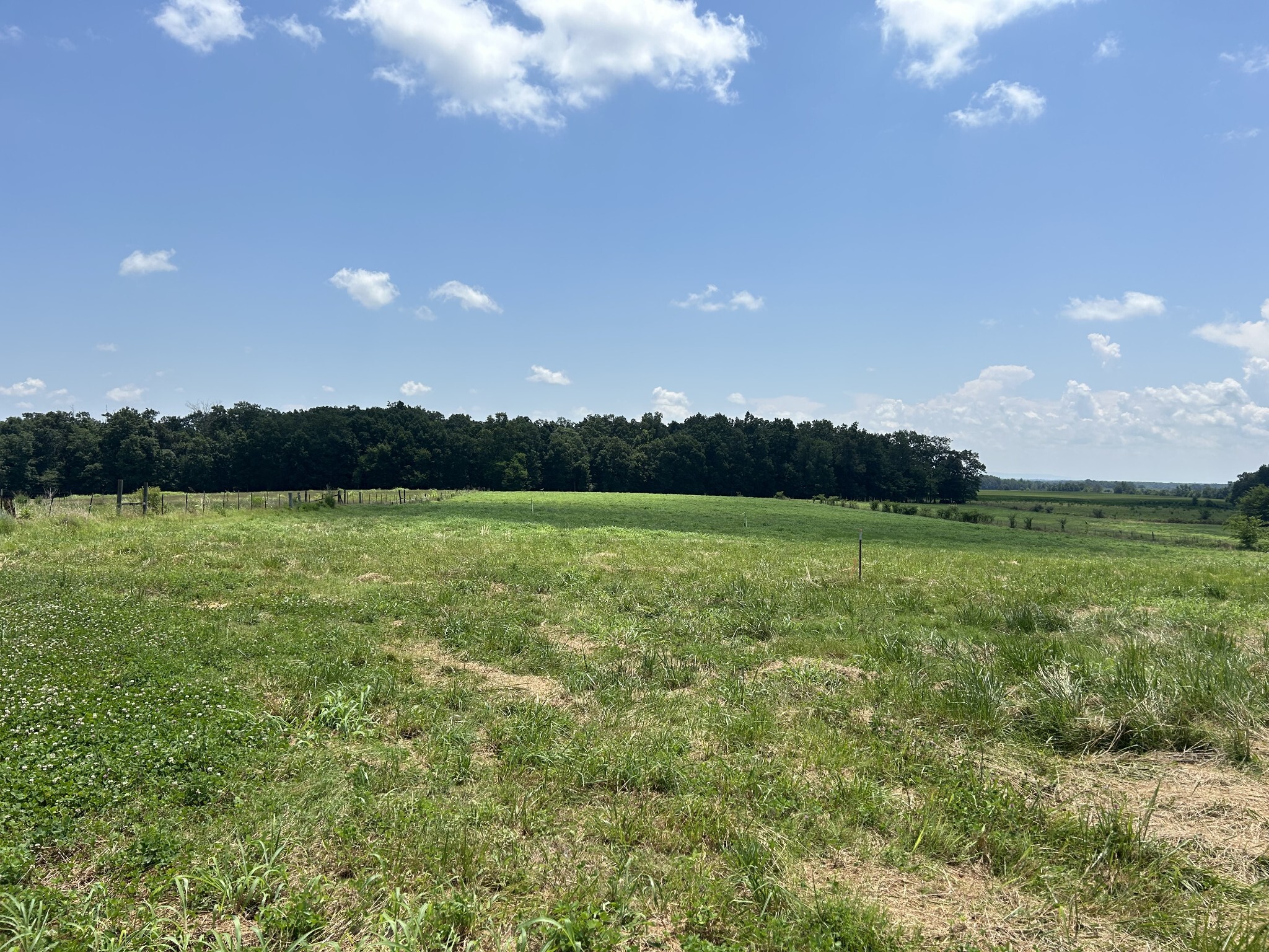 Property Photo:  0 Goosepond Road  TN 37355 