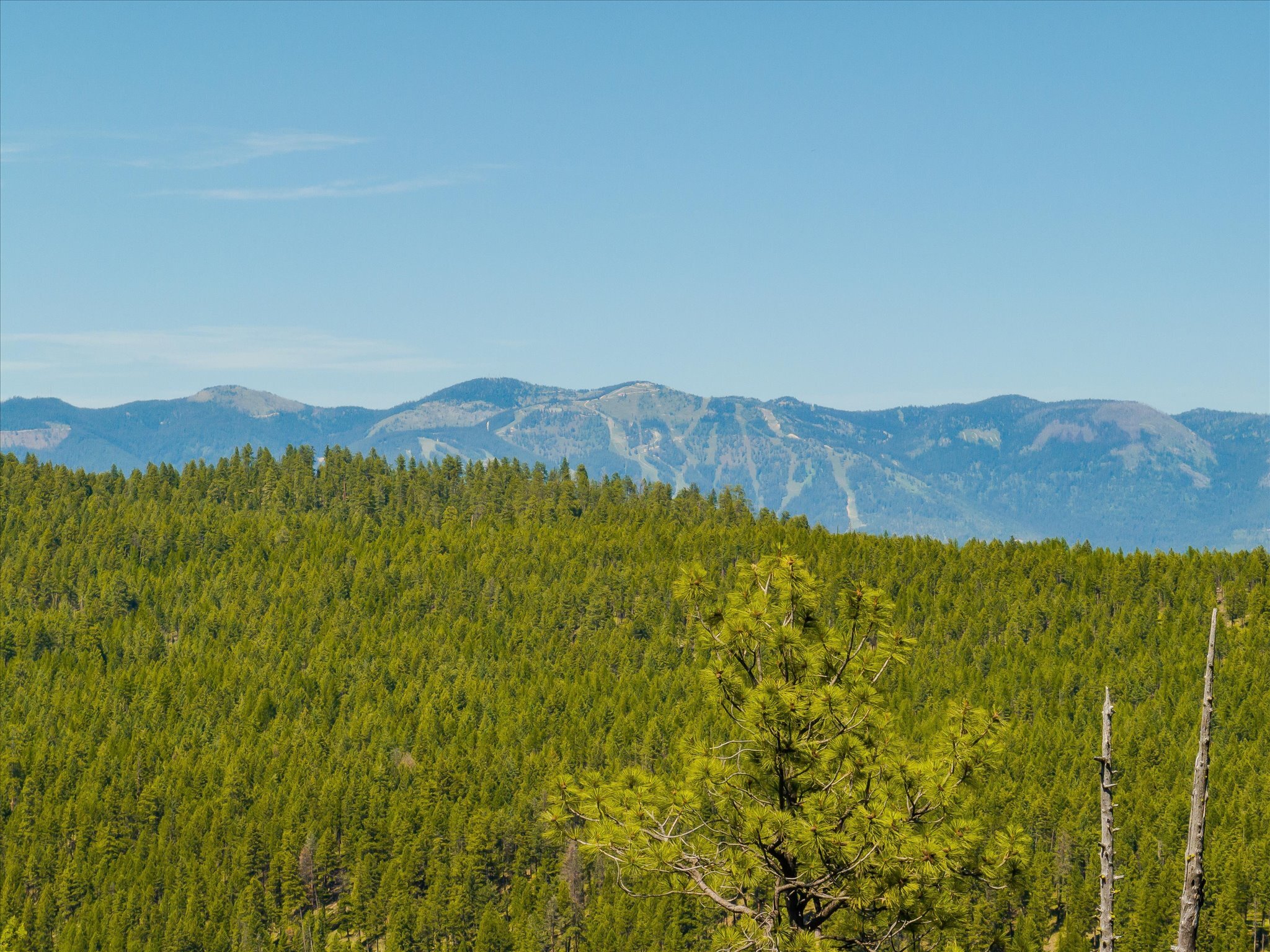 Property Photo: Nhn Mountain Meadow Court MT 59901