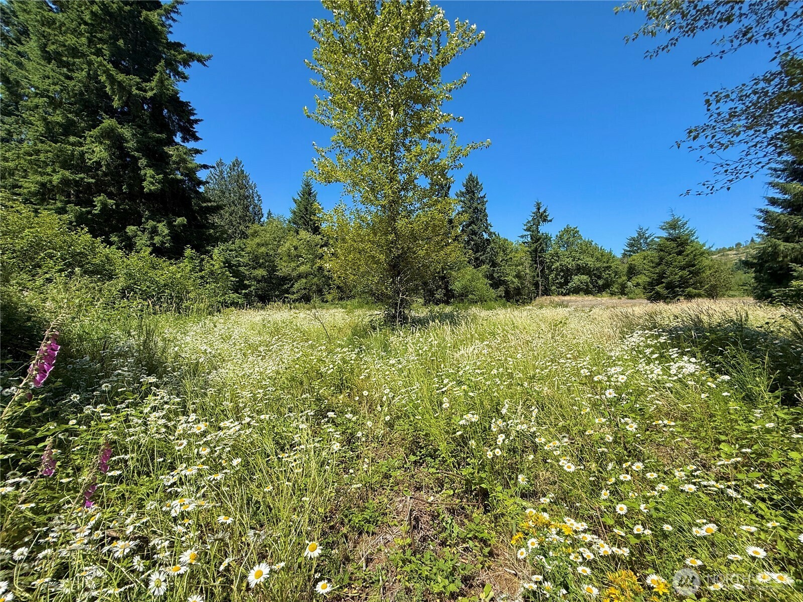 Property Photo: 127 Sawall H WA 98531