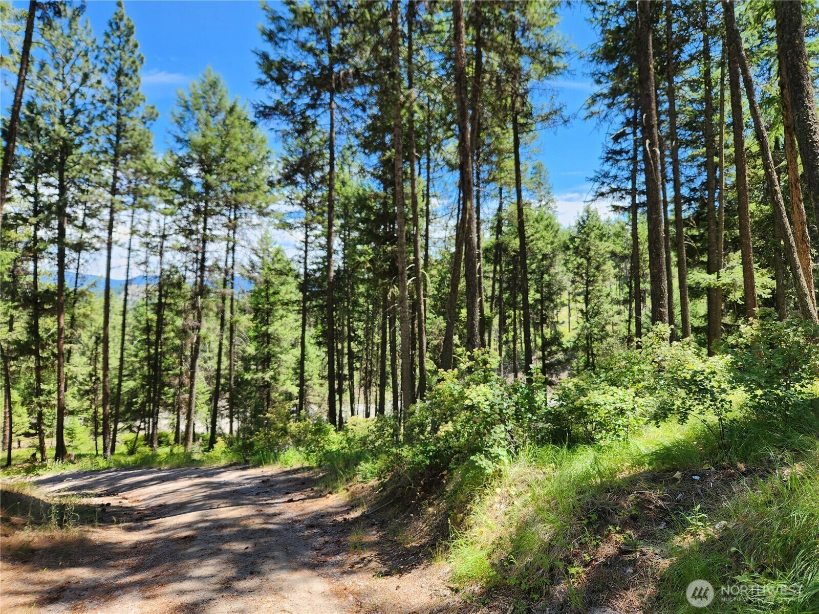 Property Photo: 0 Lot 302 Klondike Road WA 99166