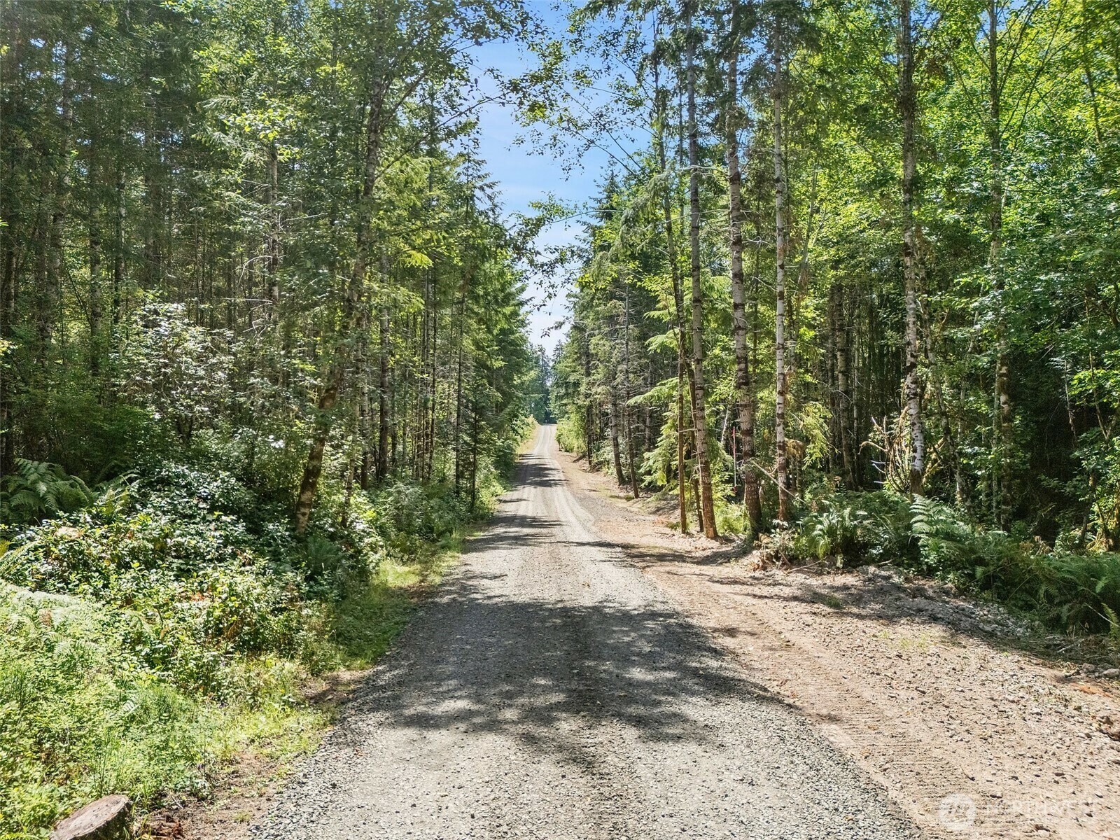 Property Photo: 0 Tr4 SE Wellswood Way WA 98584