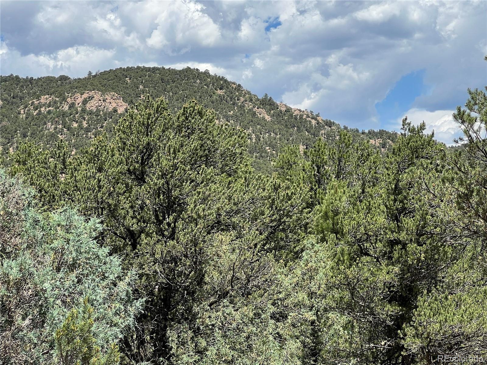 Property Photo: 216 West View Road CO 81223