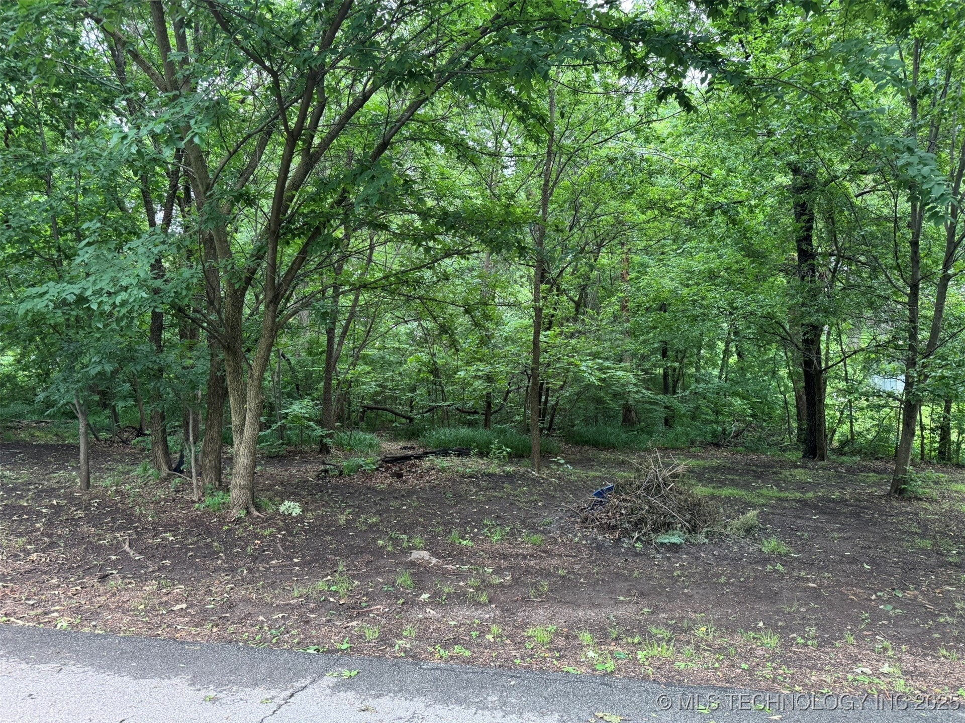 Property Photo:  0 S Maple Street  OK 74019 