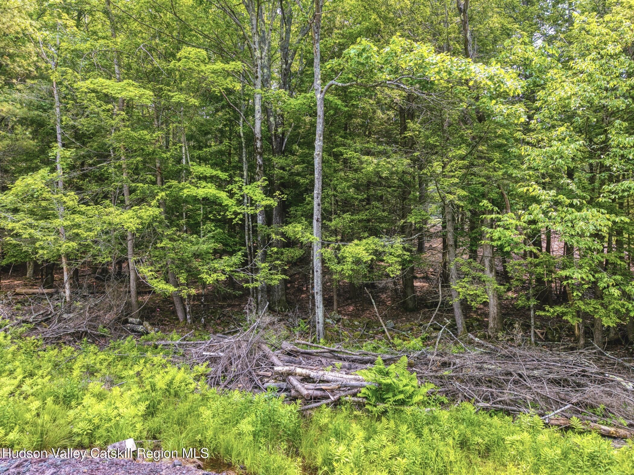 Property Photo:  Tbd Boulder Brook Rd Lot B13  NY 12496 