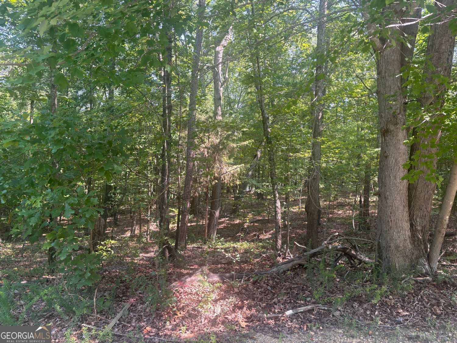 Property Photo:  13 Jewell Drive SE  GA 30161 