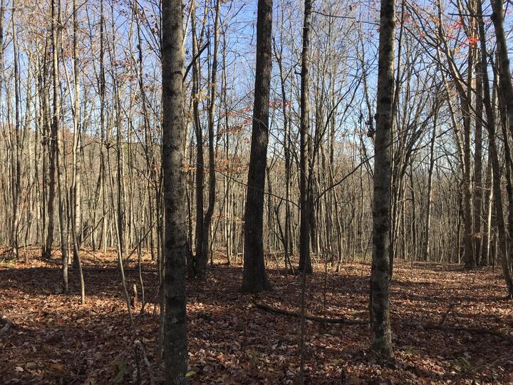 Property Photo: 5 Hobbstown Road TN 37327