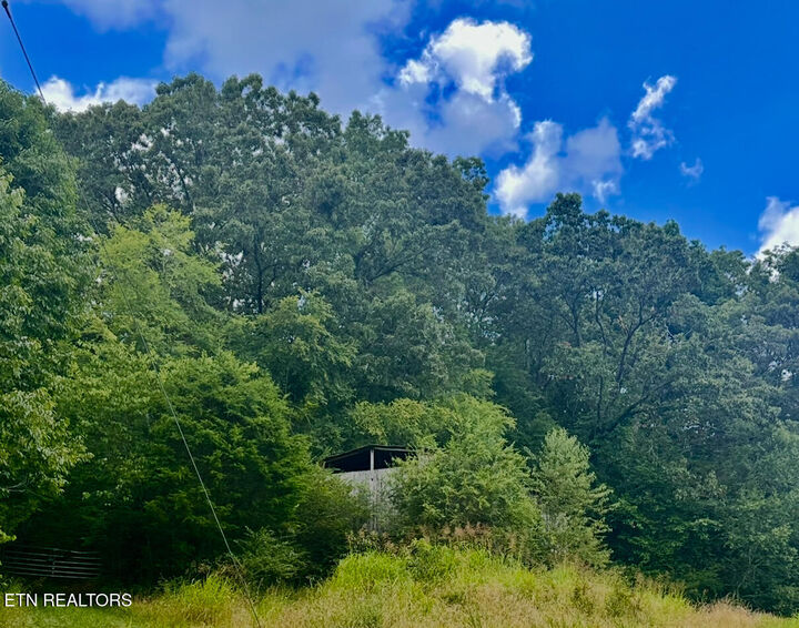 Property Photo:  Tbd Clinch River Rd  TN 37879 
