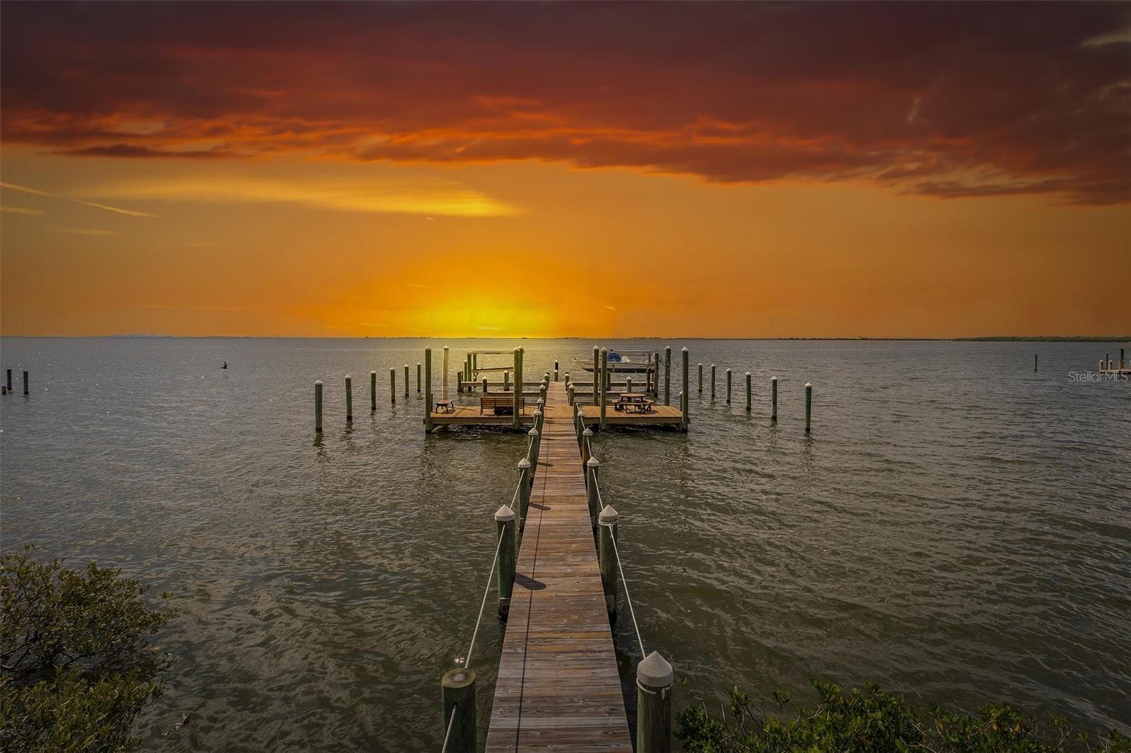 Property Photo: 413 S Bayshore Boulevard 5 FL 34695