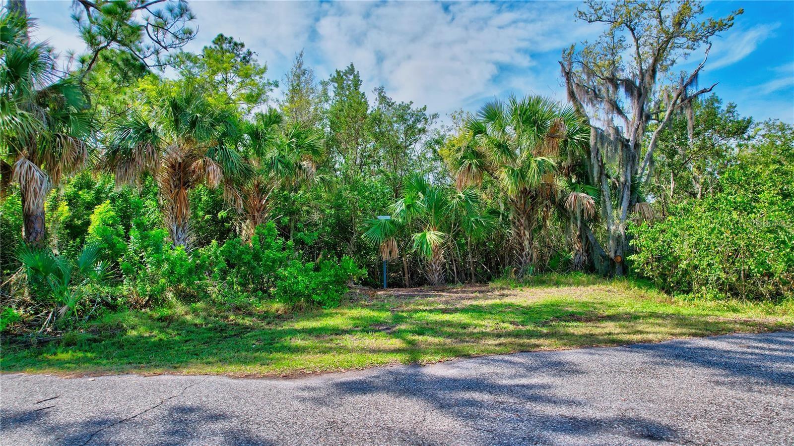 Property Photo: Strathmore Avenue FL 34677