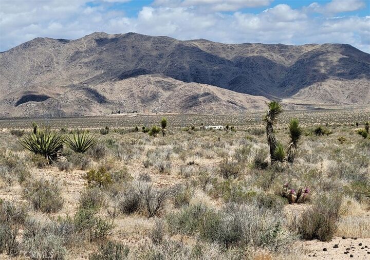 Property Photo:  10 Ac Laramie Street  CA 92308 