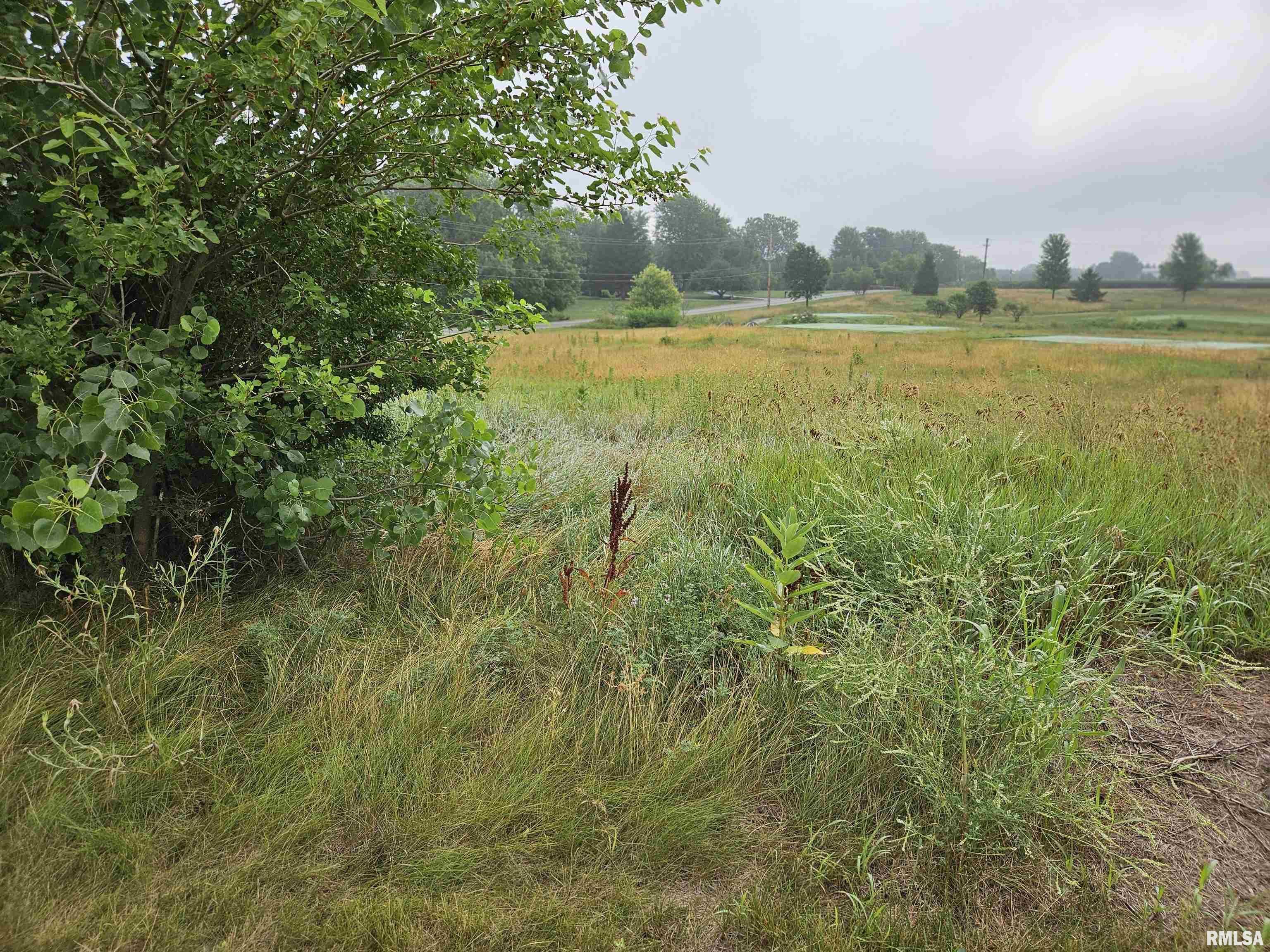 908 Brinkman Way  Metamora IL 61548 photo
