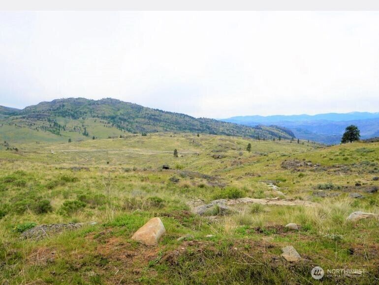 Property Photo:  1  McLaughlin Canyon Road  WA 98855 