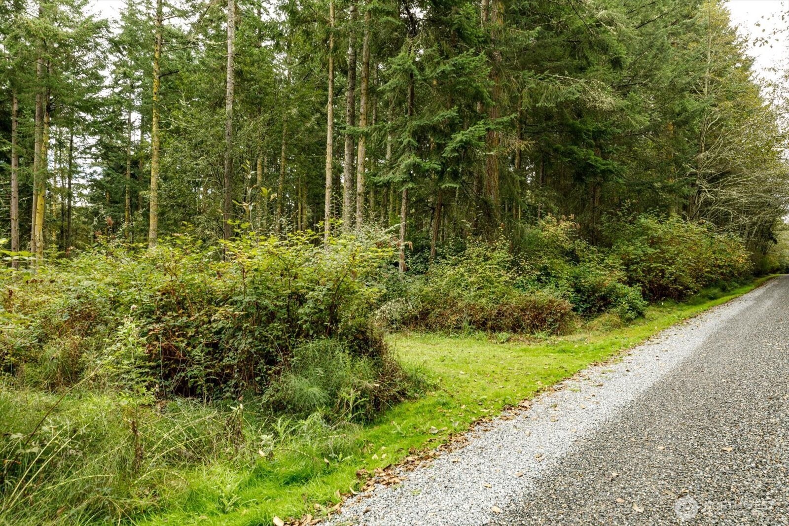 Property Photo: 1087 & 1091 Susan Street WA 98239