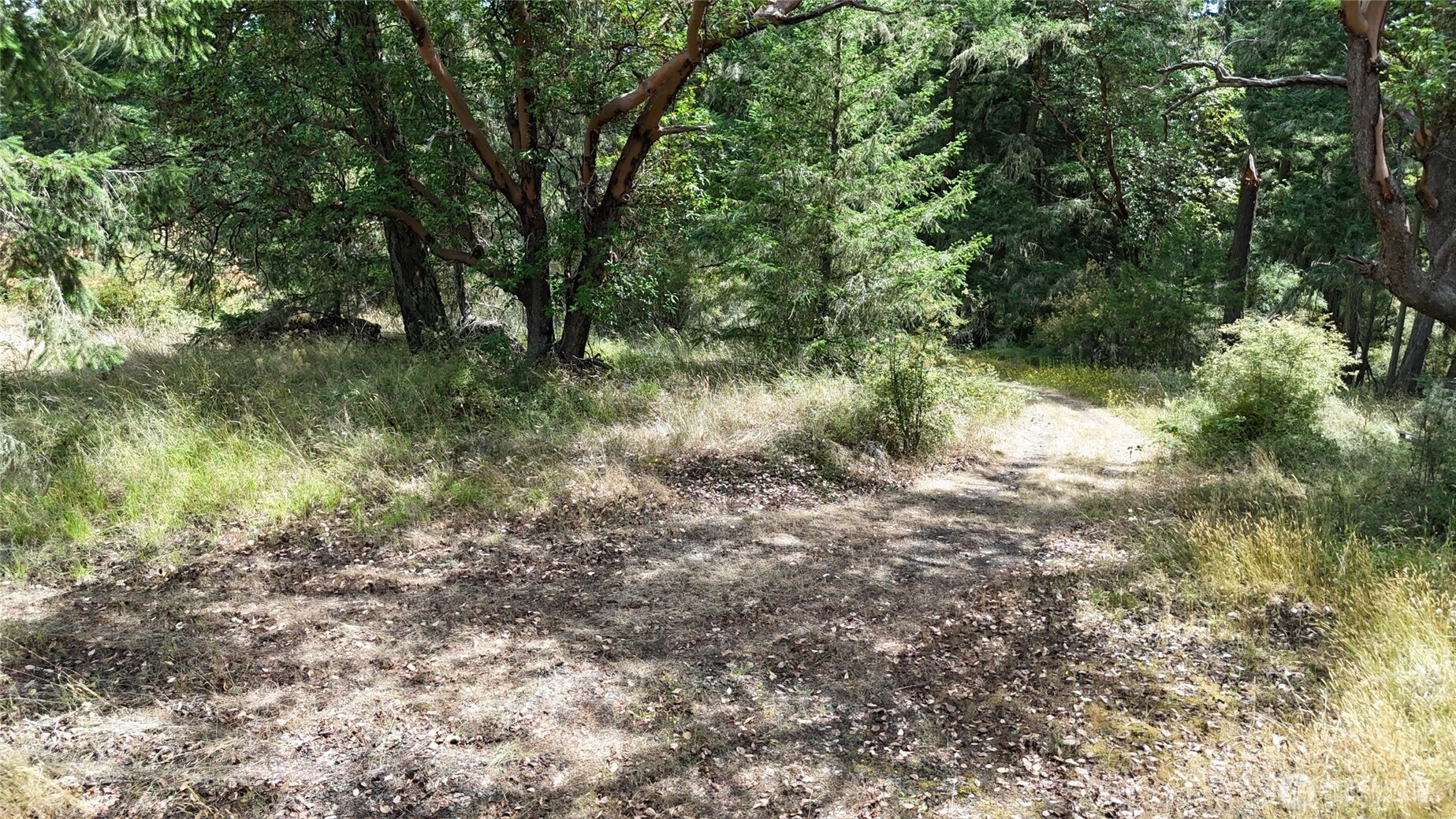 Property Photo: 0 Woodpecker Lane WA 98250