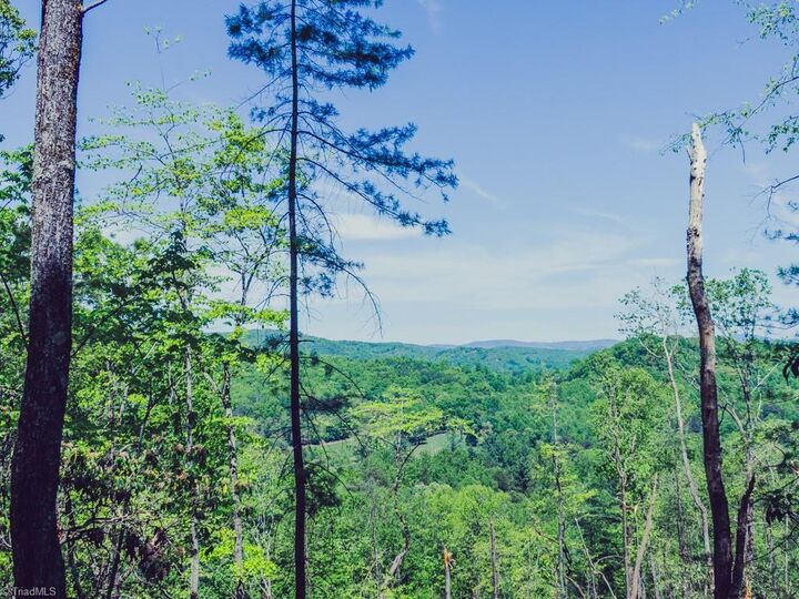 Property Photo: Tbd Hawkins Grove Road NC 28649