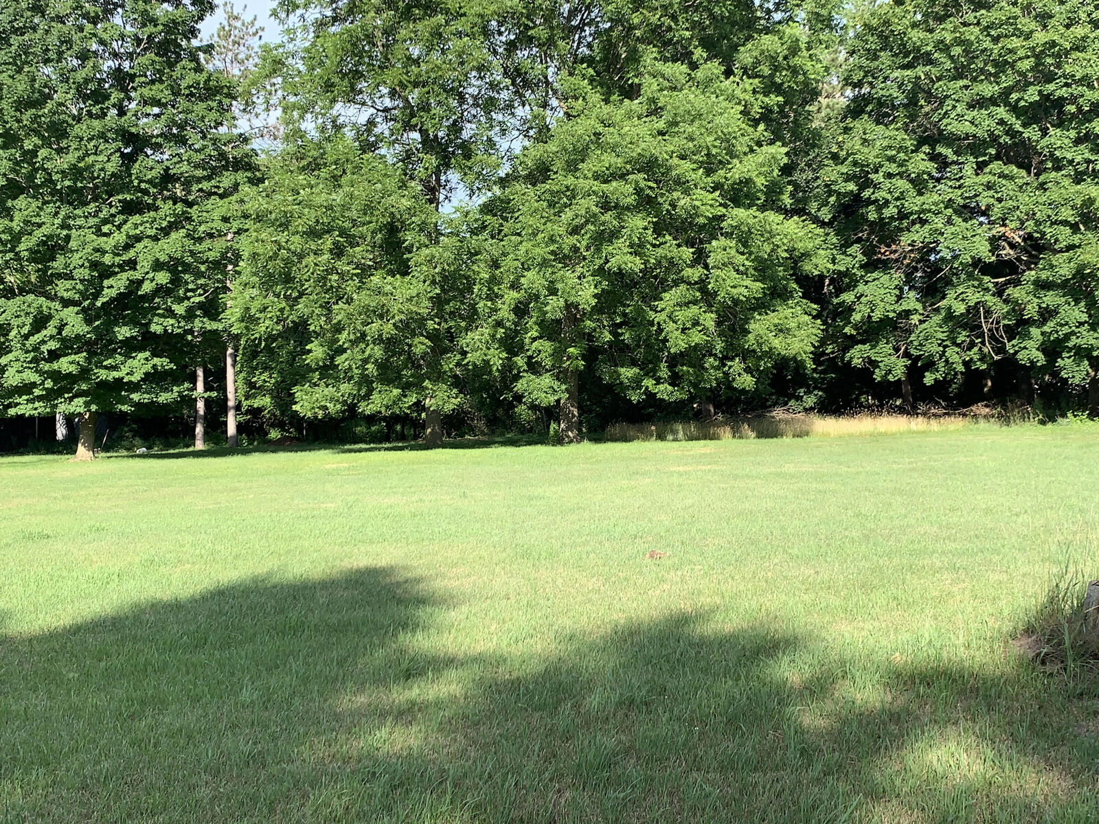 Property Photo:  Lizzie Avenue  MI 49421 