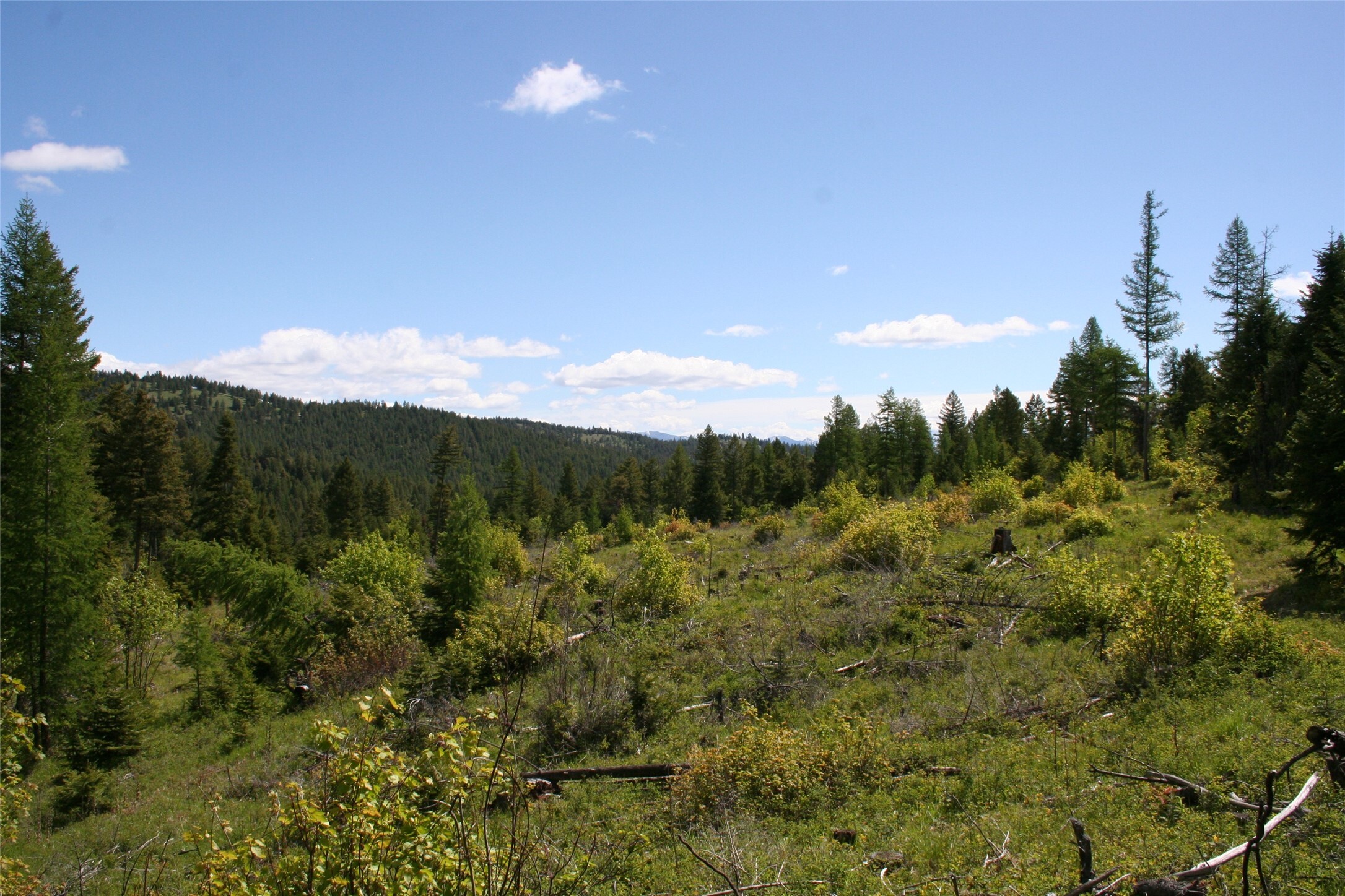 Property Photo: 1450 Kienas Road MT 59901