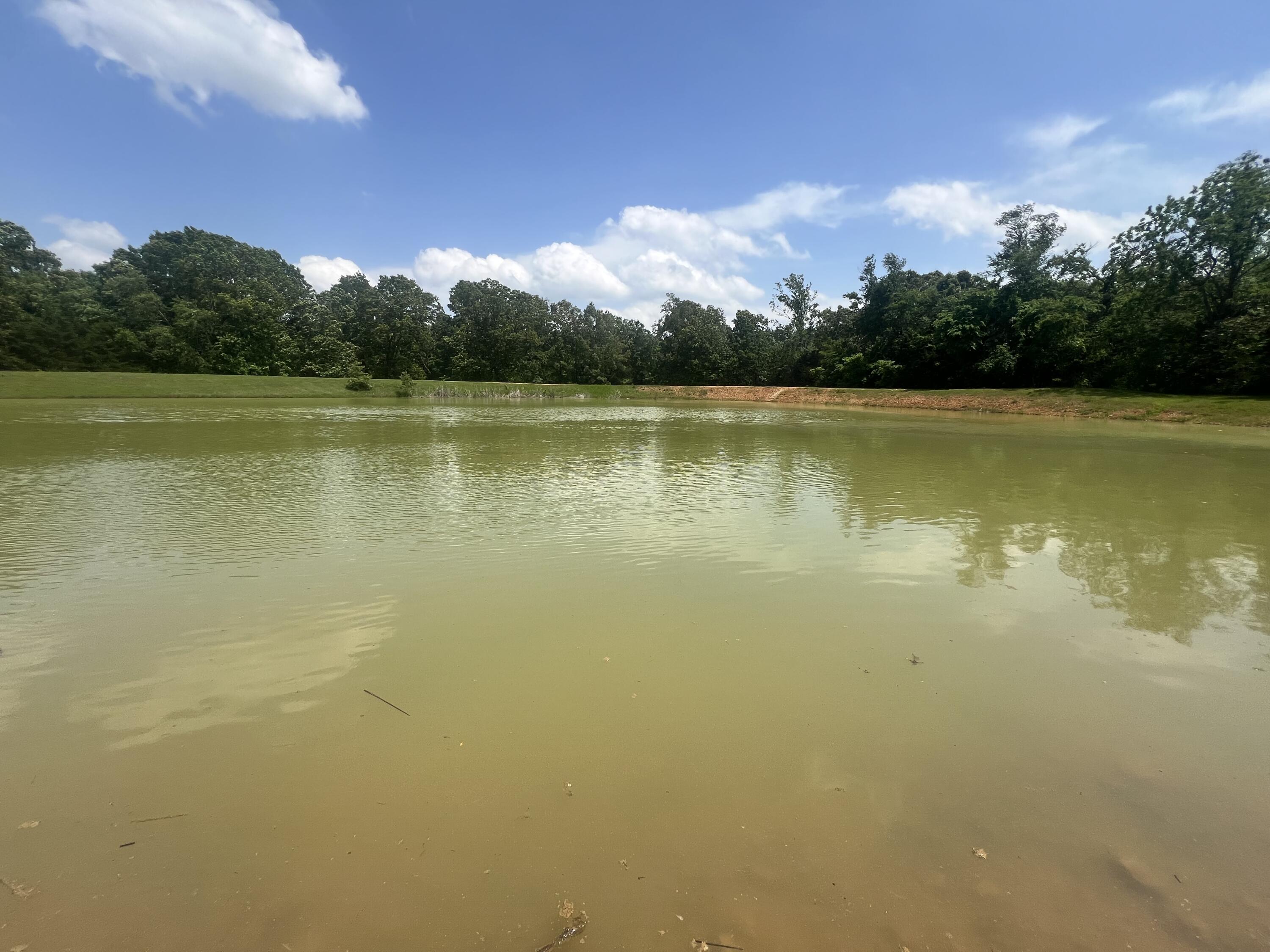 Property Photo: 1380 County Road 219 MO 65791