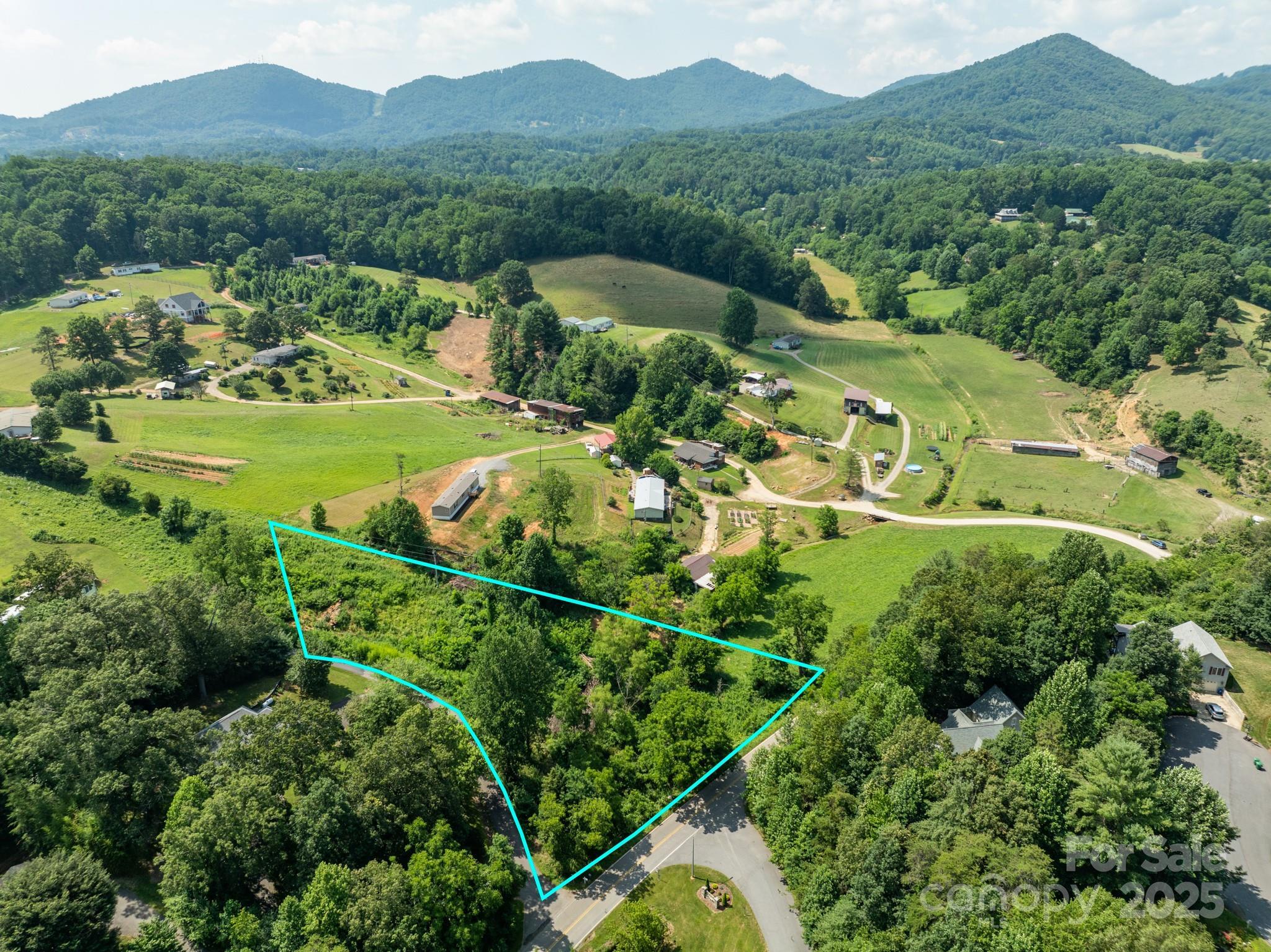 Property Photo:  99999 Goughes Branch Road  NC 28748 