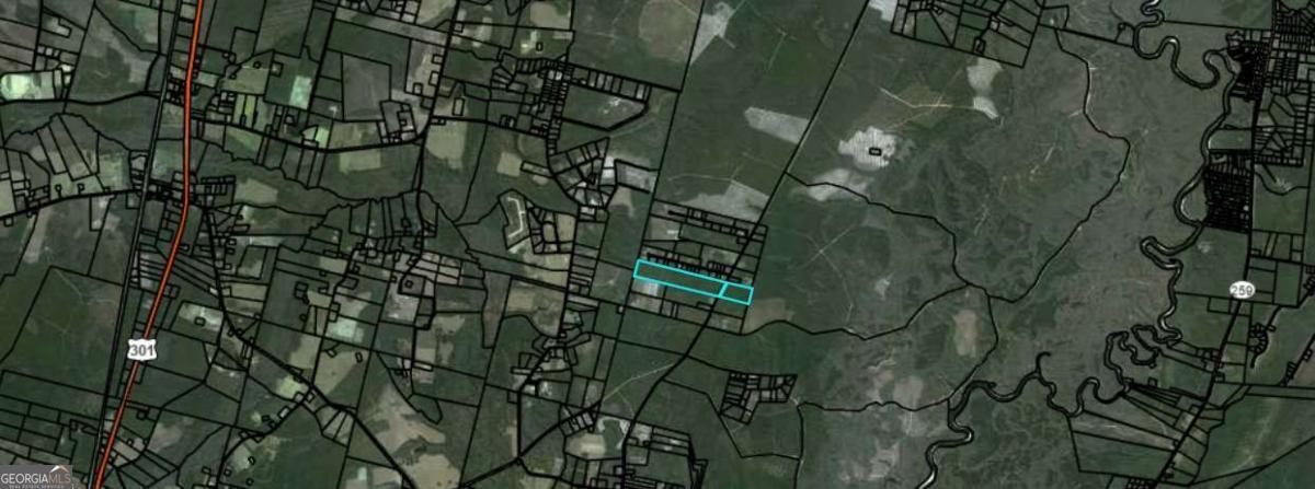 Property Photo: 0 Knox Road GA 31553