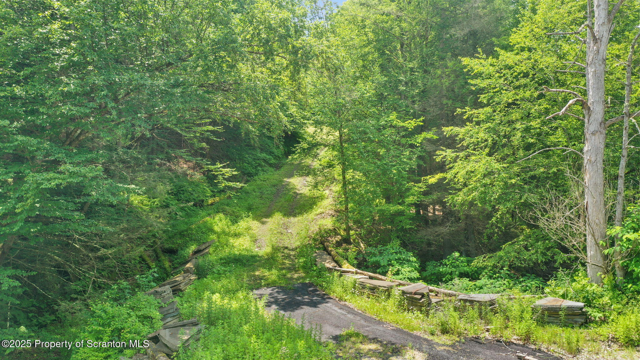 Property Photo: 3030 Liberty Park Road PA 18822