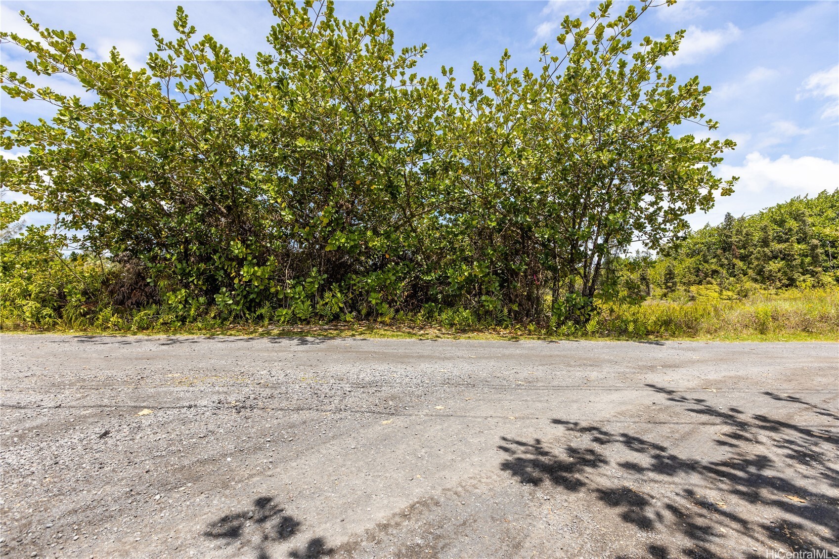 Property Photo: 15-929 Lemiwai Road HI 96749