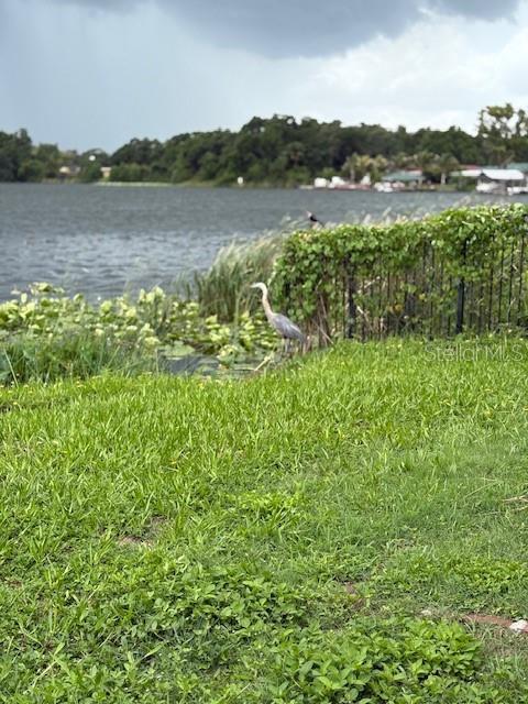 Property Photo: 6515 Walton Way FL 33610
