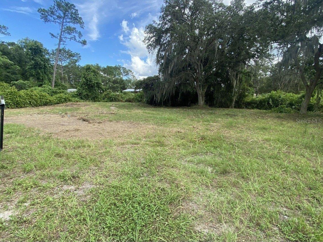Property Photo: 33128 Forest Ridge Road FL 32720