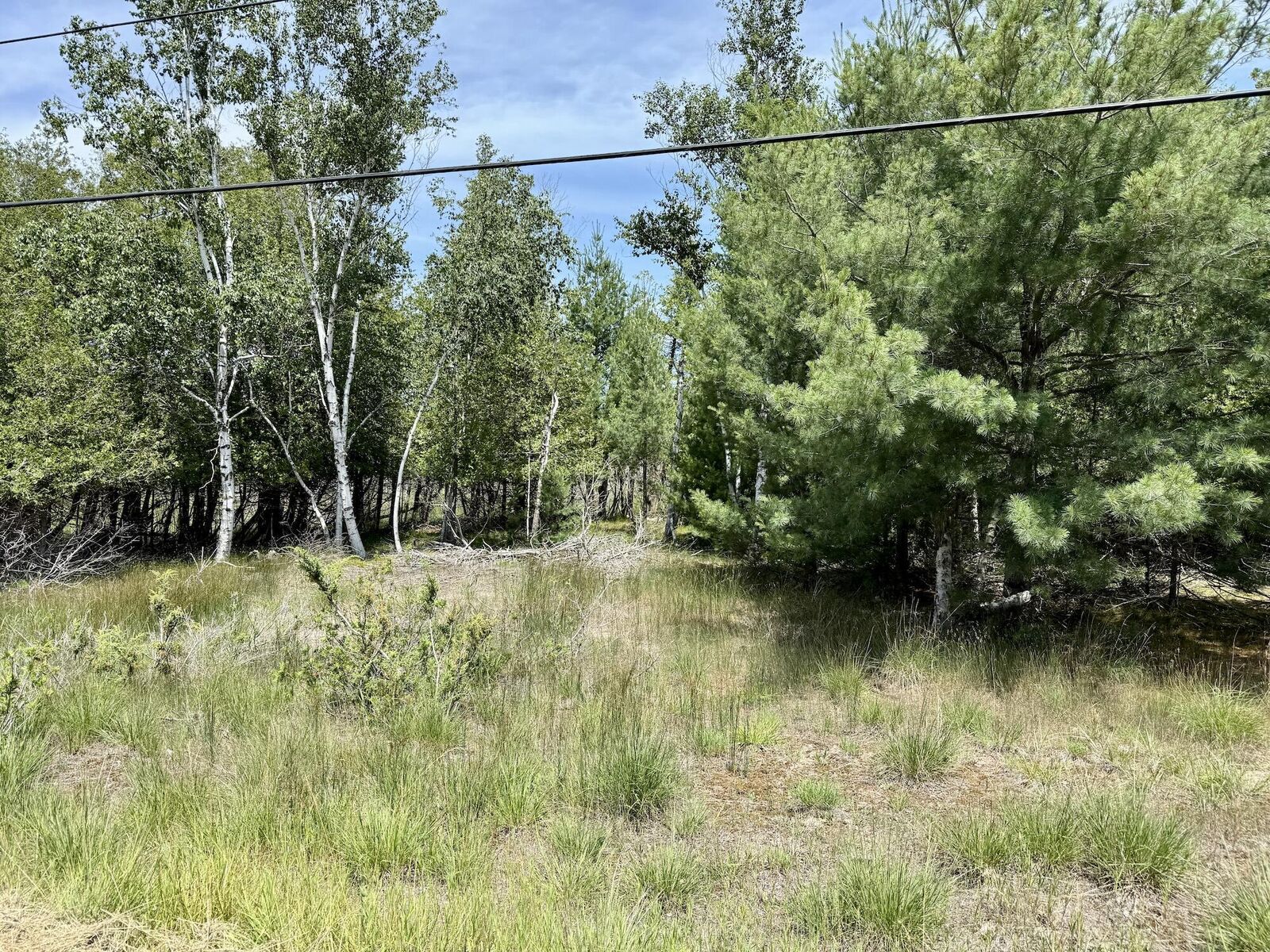 Property Photo: 2 Seymour MI 49675