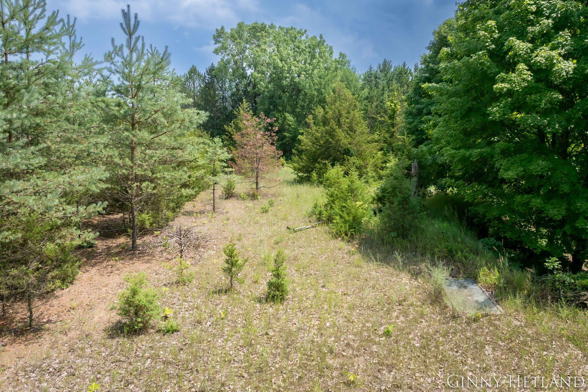 Property Photo: N M 37 Highway MI 49333