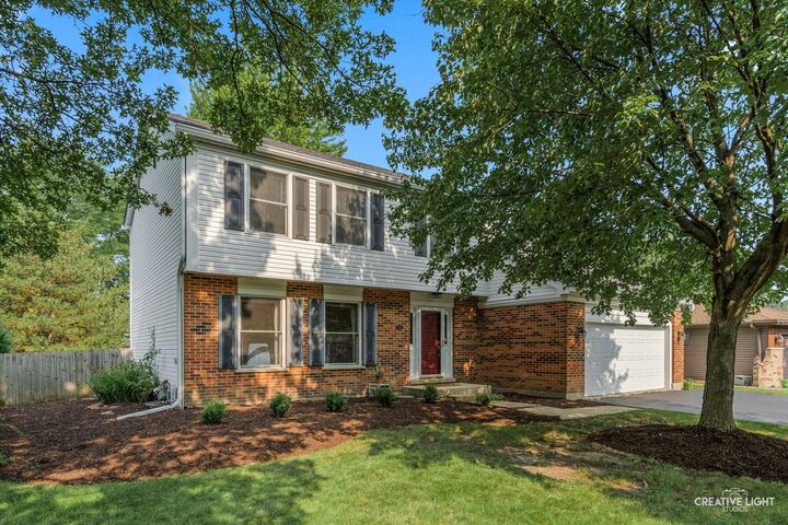 245 Terrance Drive  Naperville IL 60565 photo
