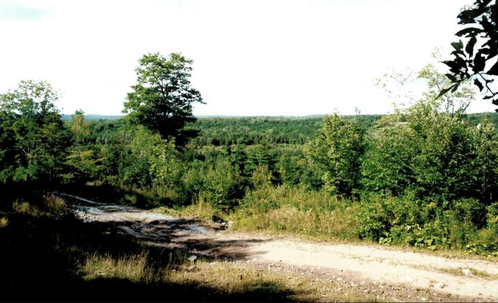 Property Photo:  Lots 2 & 3 Big Brook Road  NS B0E 2Y0 