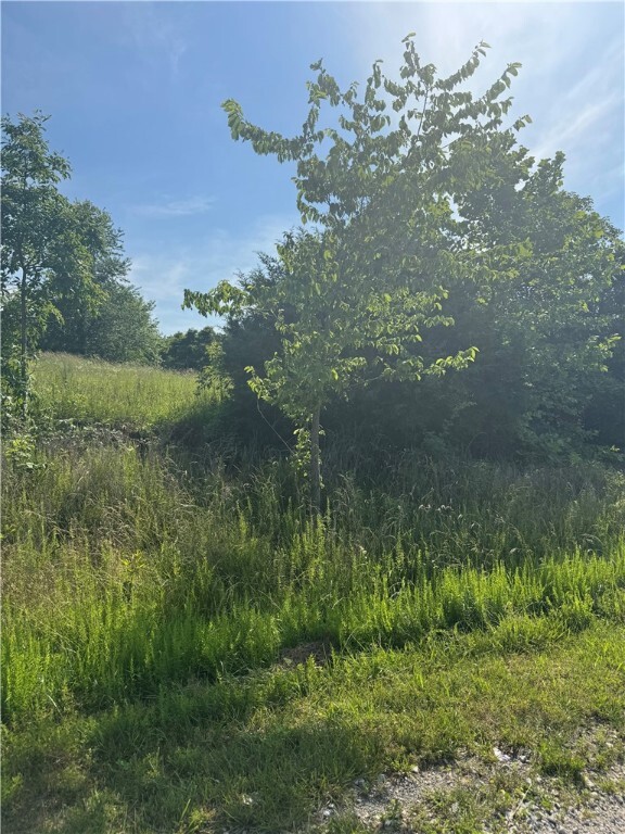 Property Photo: Tbd Lot 24 Blockade Village North MO 65745