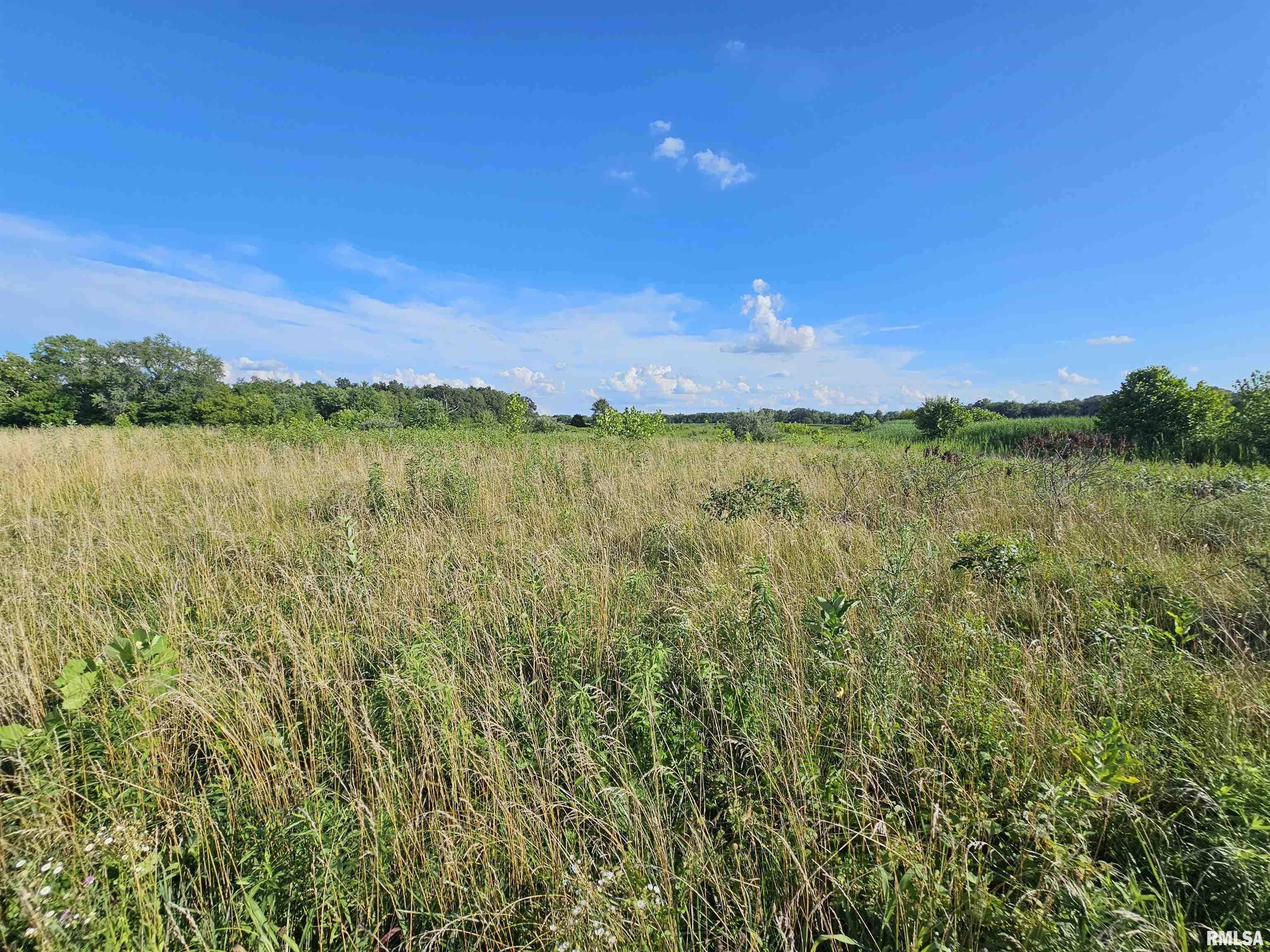 Property Photo: 0000 E Bakersville Road IL 62810