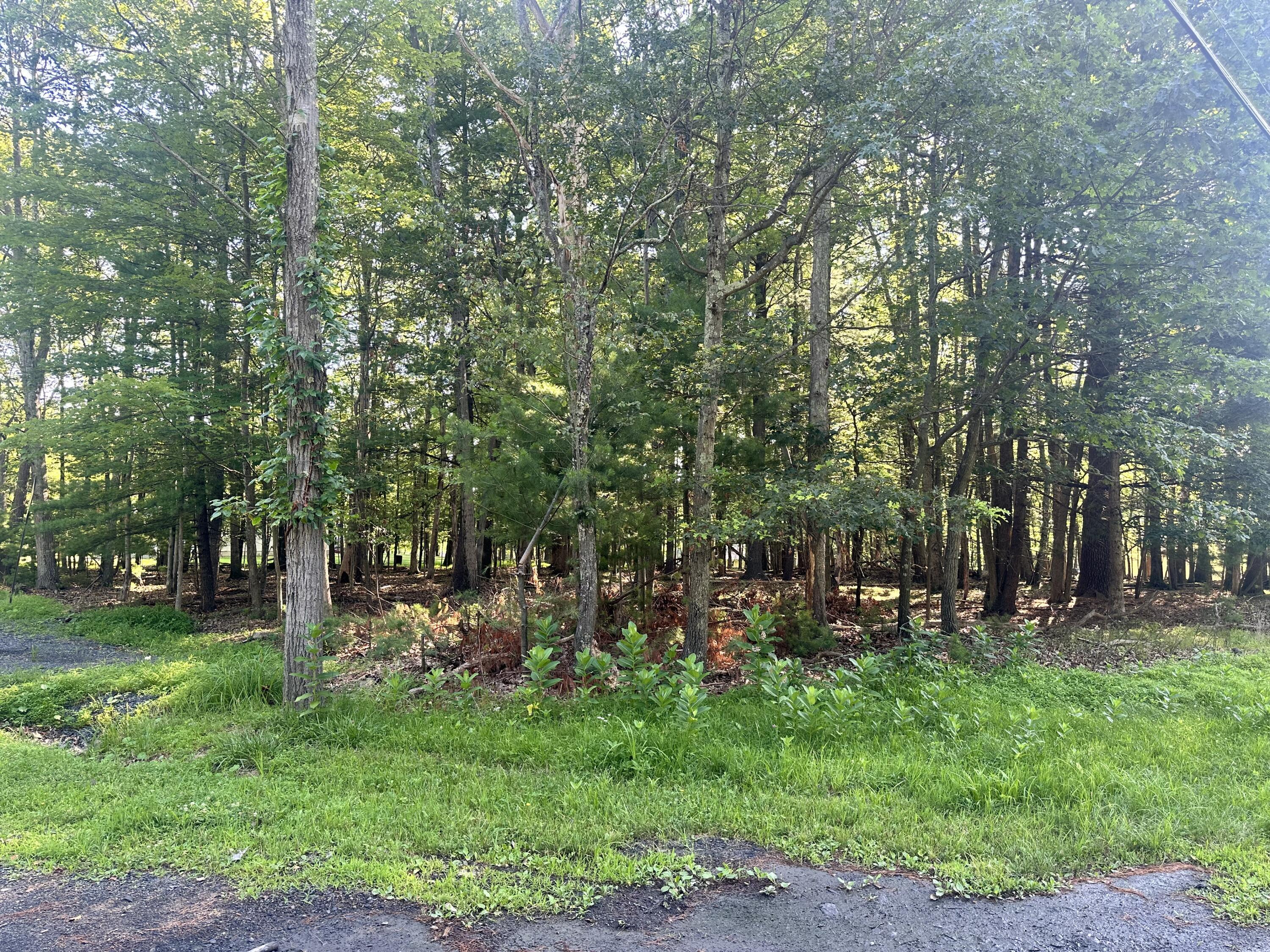 Property Photo: Indian Dr 1 Way PA 18302