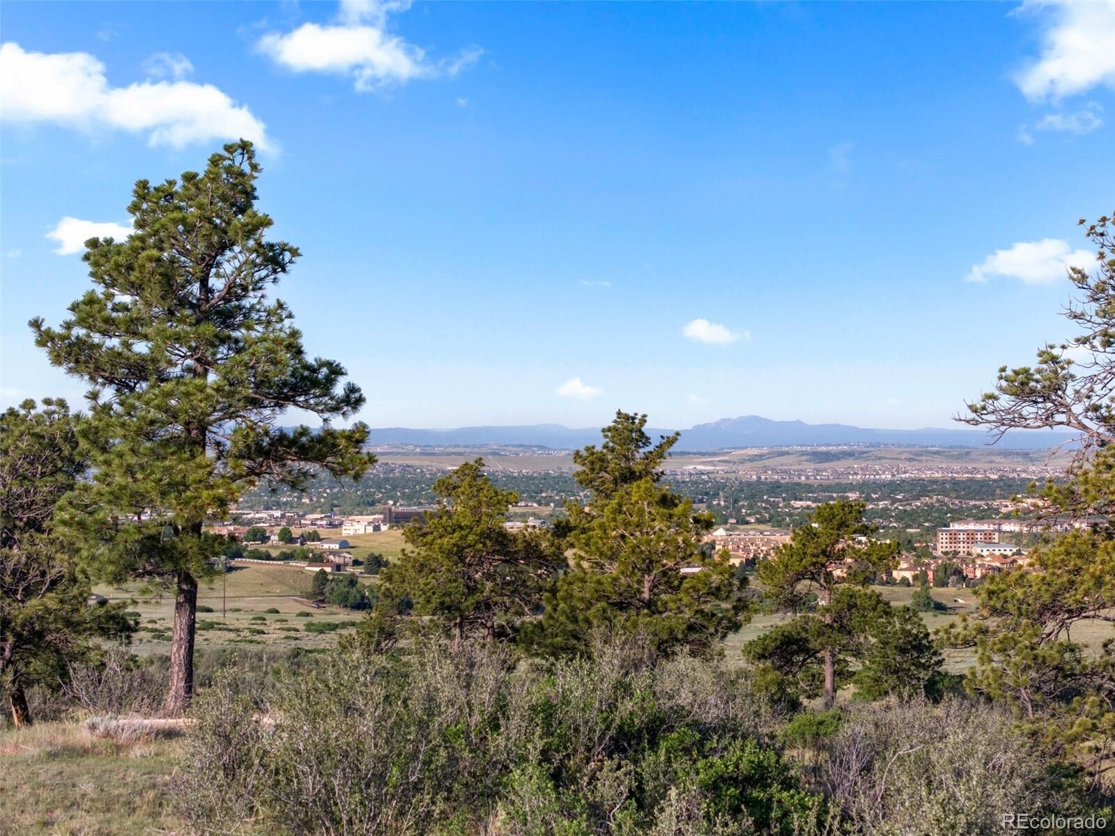 Property Photo:  13500 Pine Drive  CO 80138 