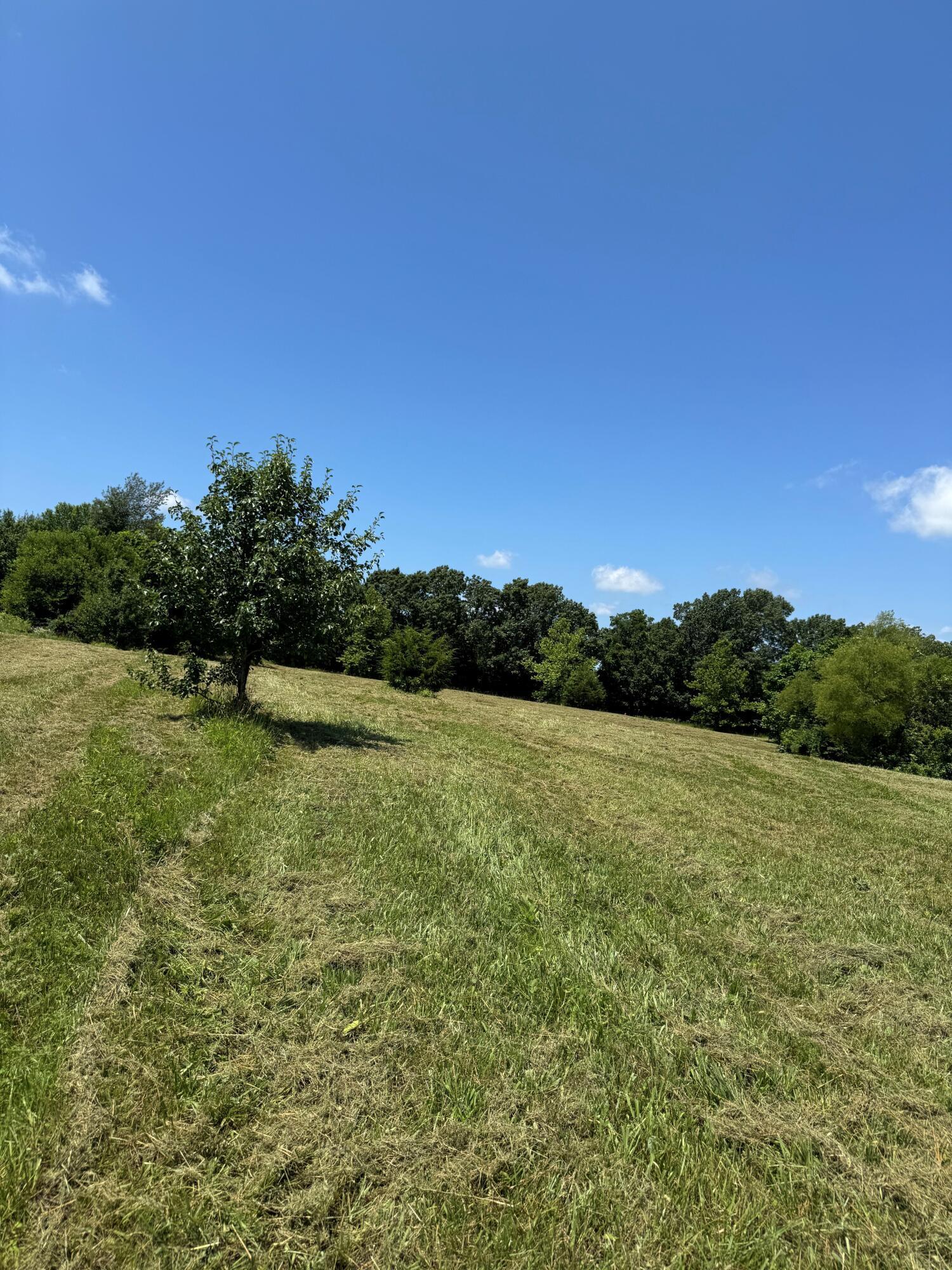 Property Photo:  Tbd Lot 24 Blockade Village North  MO 65745 