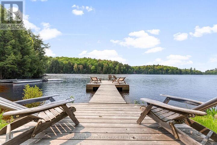 3637 Madawaska Road  South Algonquin ON K0L 2R0 photo