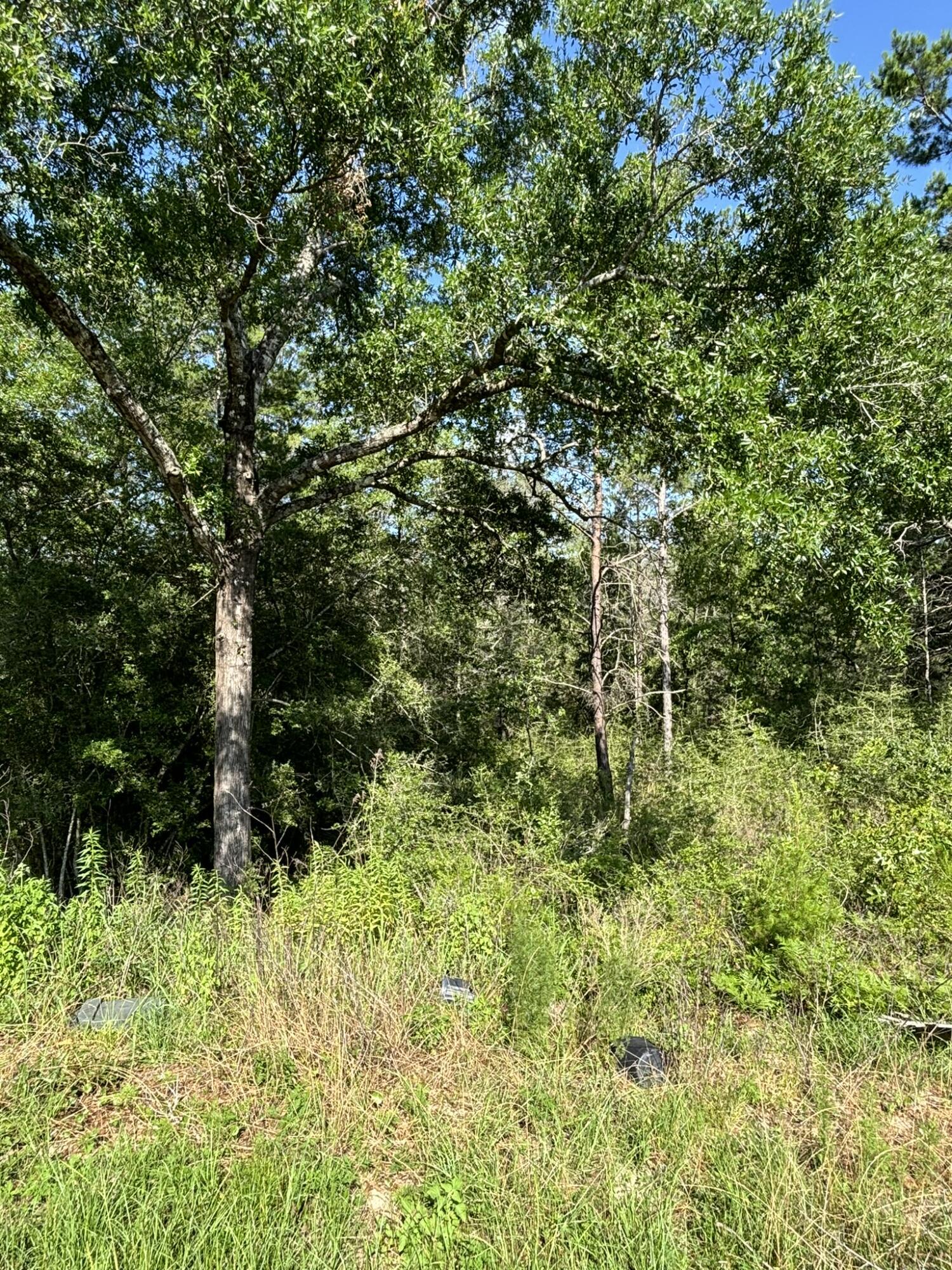 Property Photo: 0 E White Rose Street FL 32433