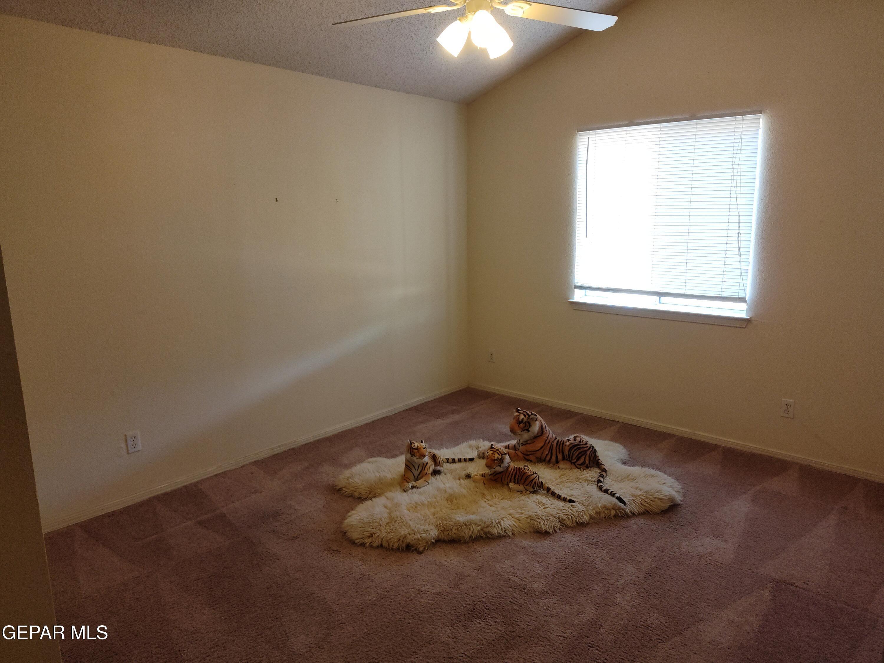 Property Photo:  12361 Tierra Madre Road  TX 79938 
