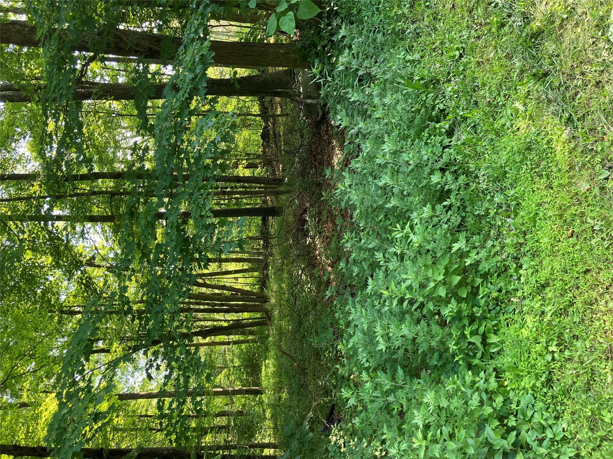 Property Photo: Adam Wagner Lane NY 10541